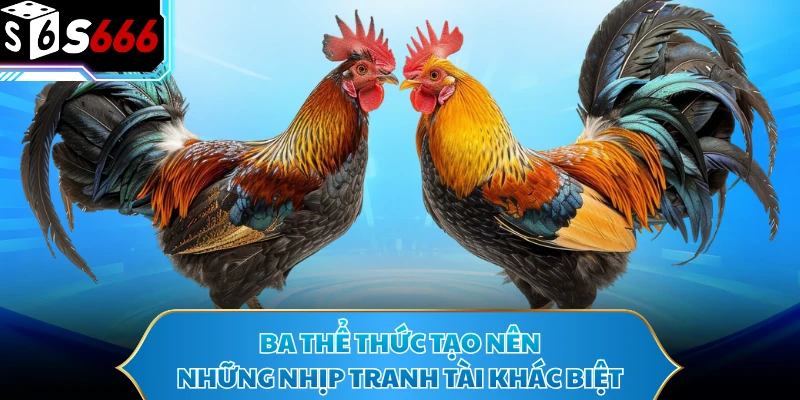 Ba thể thức tạo nên những nhịp tranh tài khác biệt
