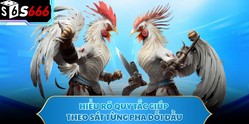Hiểu rõ quy tắc giúp theo sát từng pha đối đầu